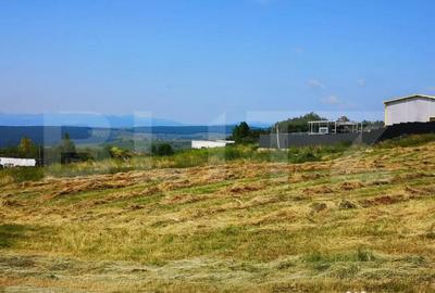 Teren în Baciu - 3
