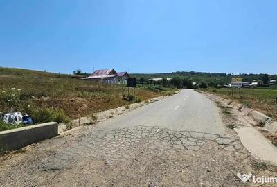 Teren de 2340 mp, în Miroslava