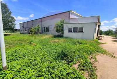 Spațiu industrial, de 1,700 mp, în Brănești