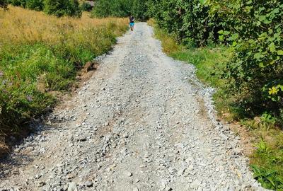 Teren de 15000 mp, în Plopi - 3