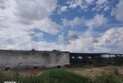 Spațiu comercial, în Mogoșești - 3