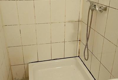 Spațiu comercial, de 2 mp, în Vitan - 1