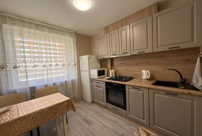 Apartament cu 2 camere decomandat în Spitalul Județean - 2
