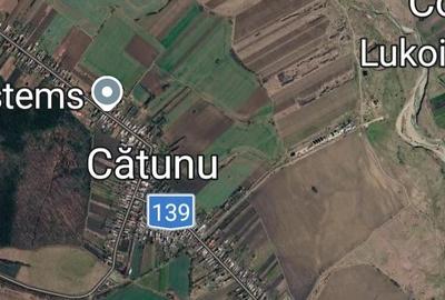 Teren de 10000 mp, în Berceni