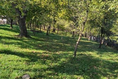 Teren de 3163 mp, în Brebu - 5