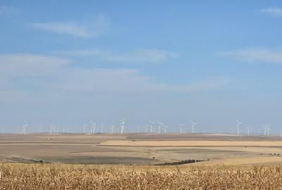 Teren de 590000 mp, în Saraiu - 3