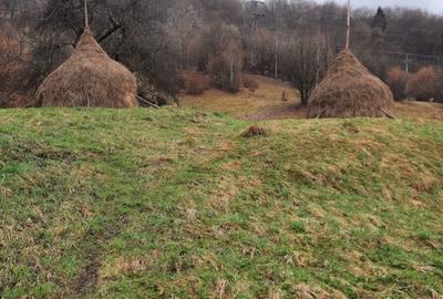 Teren de 3200 mp, în Băiuț - 3