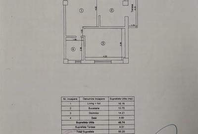 Apartament cu 2 camere semidecomandat în Valea Lupului - 7