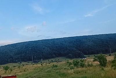 Teren de 58 mp, în Gilău