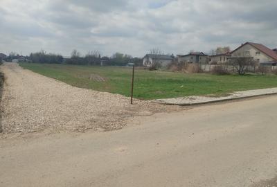 Teren Construcții intravilan de 450 mp, în Dragomirești-Vale - 8