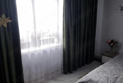 Casă cu 5 camere cu Teren 3000 Mp în Mitocu Dragomirnei - 2