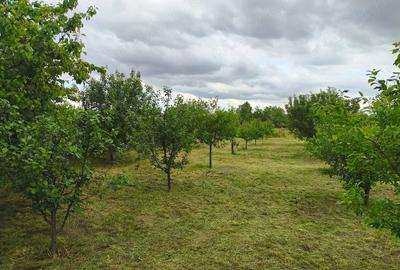 Casă cu 7 camere cu Teren 2424 Mp în Coteana - 2