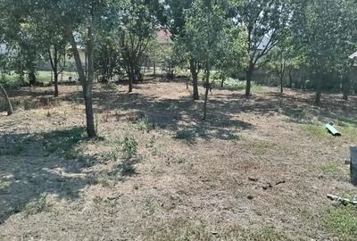 Casă cu 5 camere în Racovița