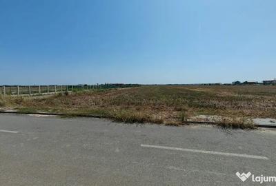 Teren în Dragomirești-Deal