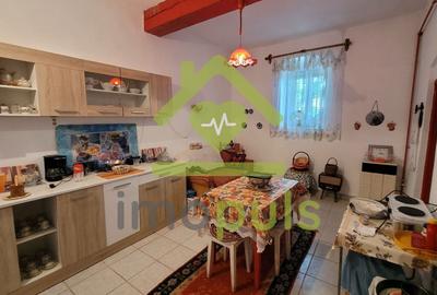 Casă individuală cu 3 camere cu Teren 1434 Mp în Satchinez - 24