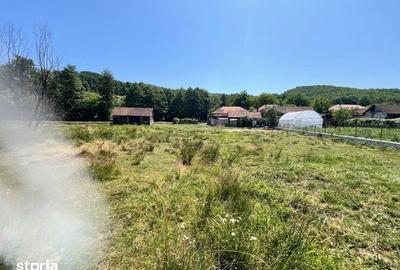 Teren de 780 mp, în Tărcaia - 5