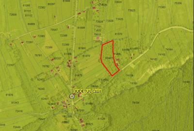 Teren Construcții intravilan de 1000 mp, în Pădureni (Chinteni) - 12