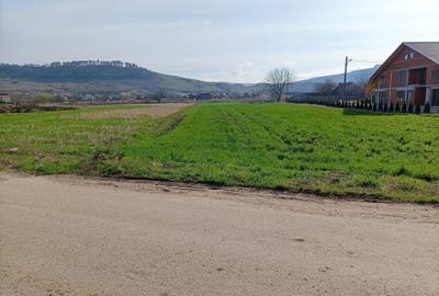 Teren Construcții intravilan de 1292 mp, în Bonțida - 3