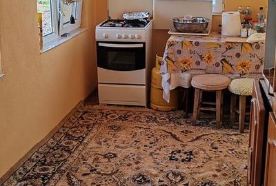 Casă cu 2 camere cu Teren 800 Mp în Galicea Mare - 14