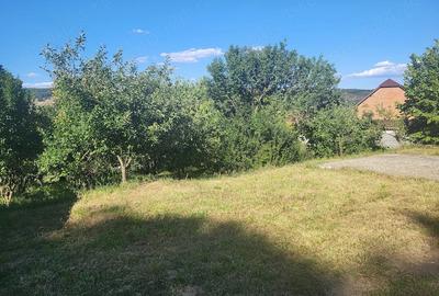 Casă cu 4 camere cu Teren 3700 Mp în Pădureni