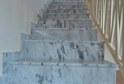 Casă individuală cu 4 camere cu Teren 440 Mp în Nufărul - 22