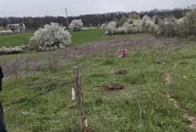 Teren intravilan de 500 mp, în Vlădiceasca - 5