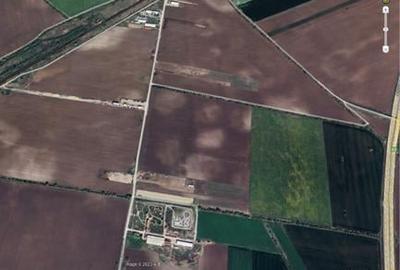 Teren Construcții intravilan de 30000 mp, în Moara Vlăsiei - 3