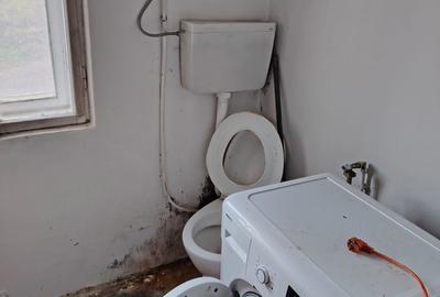 Casă cu 3 camere în Exterior Vest