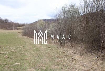 Teren Construcții intravilan de 1640 mp, în Racovița - 20