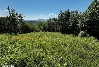 Teren de 3100 mp, în Dăești