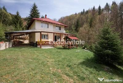 Casă cu 5 camere cu Teren 6412 Mp în Dâmbovicioara