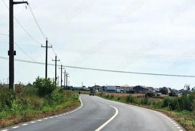 Teren de 4000 mp, în Bălăceanca - 6