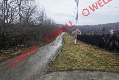 Teren de 5296 mp, în Hoghiz - 5