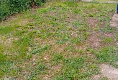 Casă individuală cu 5 camere cu Canalizare în Buftea - 13