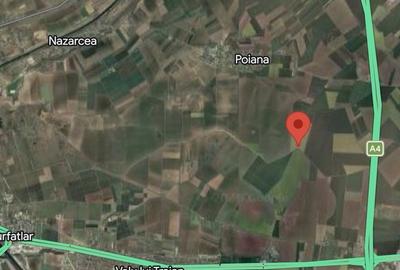 Teren de 9000 mp, în Valu lui Traian - 1