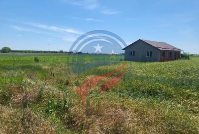 Casă individuală cu 4 camere cu Teren 5100 Mp în Leu - 3