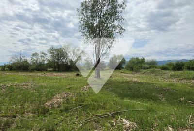 Teren Construcții intravilan de 2779 mp, în Cristian - 2