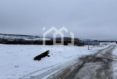 Teren Construcții intravilan de 9783 mp, în Jucu de Mijloc - 3