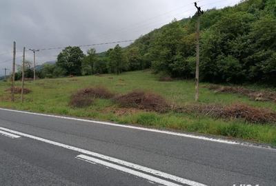 Teren de 2500 mp, în Sichevița - 5