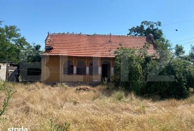 Teren de 7000 mp, în Chevereșu Mare - 4