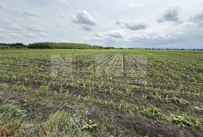 Teren agricol extravilan de 3750 mp, în Central - 1