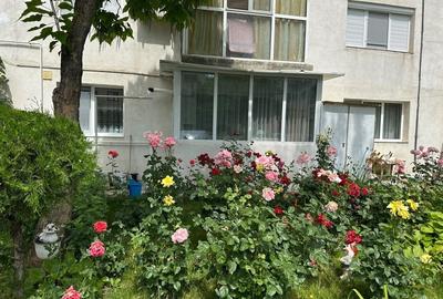 Apartament cu 2 camere semidecomandat în Lacu - 6