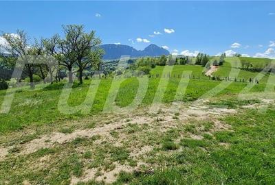 Teren de 8500 mp, în Poiana Mărului - 2