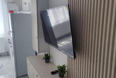 Apartament cu 2 camere decomandat, mobilat în Roșu - 4