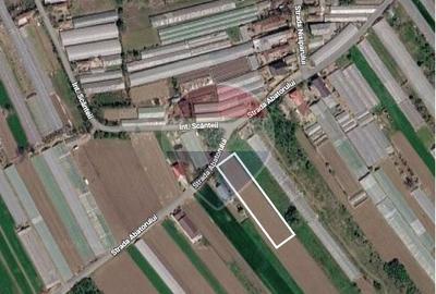 Teren Construcții intravilan de 5000 mp, în Câmpurelu