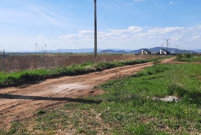Teren de 52800 mp, în Tărlungeni - 5