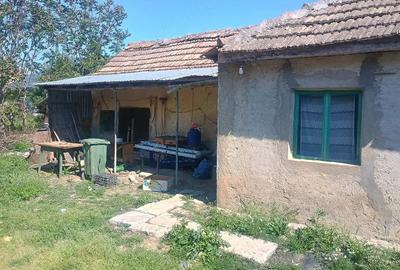 Casă cu Teren 300 Mp în Amara - 2