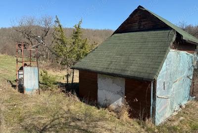 Casă cu 3 camere cu Teren 8000 Mp în Dumbrăvița - 4