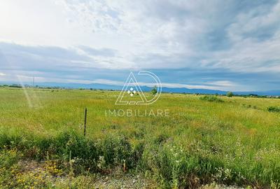 Teren agricol extravilan de 10000 mp, în Bucureasa - 3