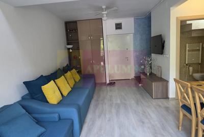 Apartament cu 2 camere semidecomandat în Sud - 4